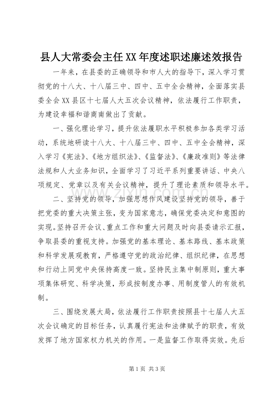 县人大常委会主任XX年度述职述廉述效报告.docx_第1页