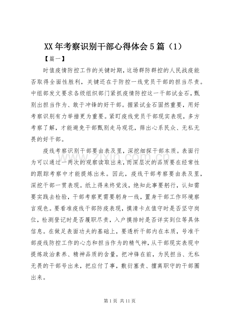 XX年考察识别干部心得体会5篇（1）.docx_第1页