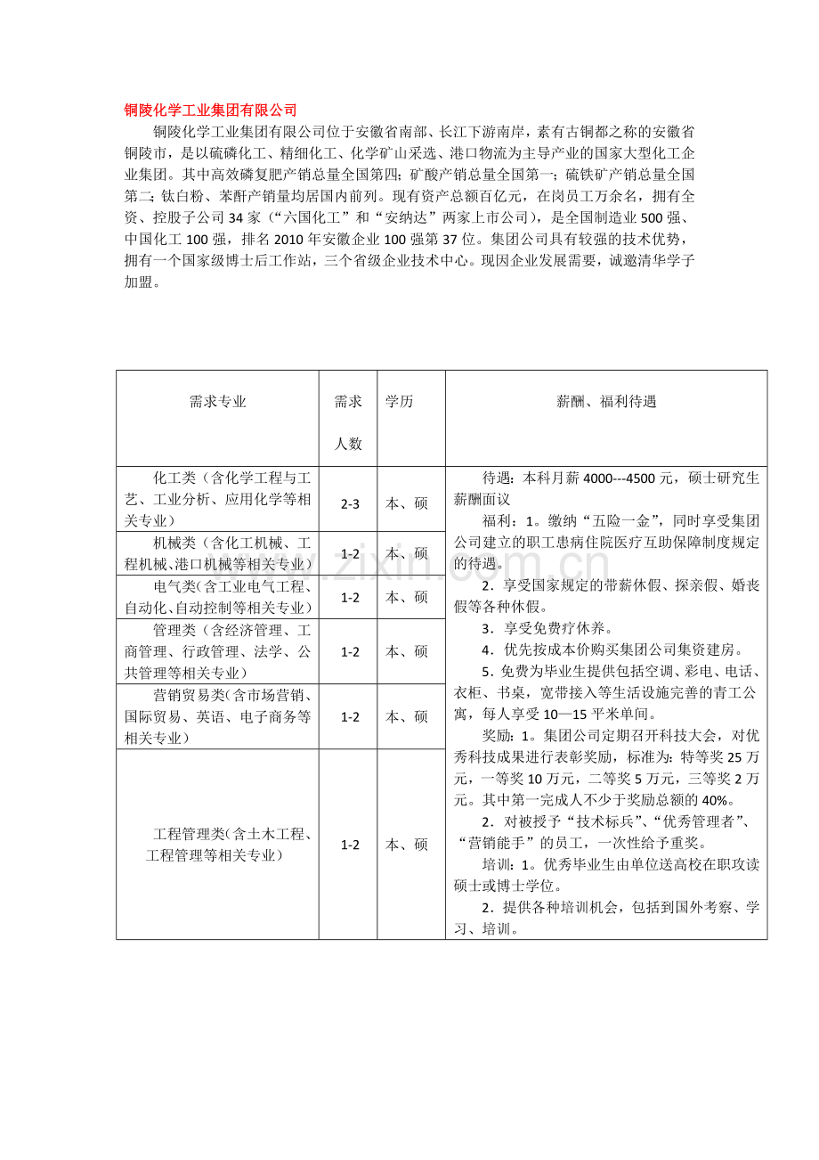 铜陵化学工业集团有限公司.doc_第1页