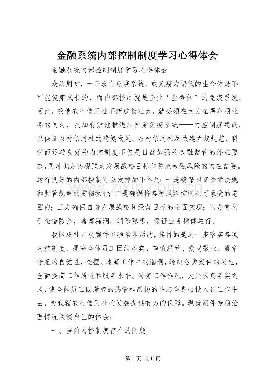 金融系统内部控制制度学习心得体会.docx_第1页