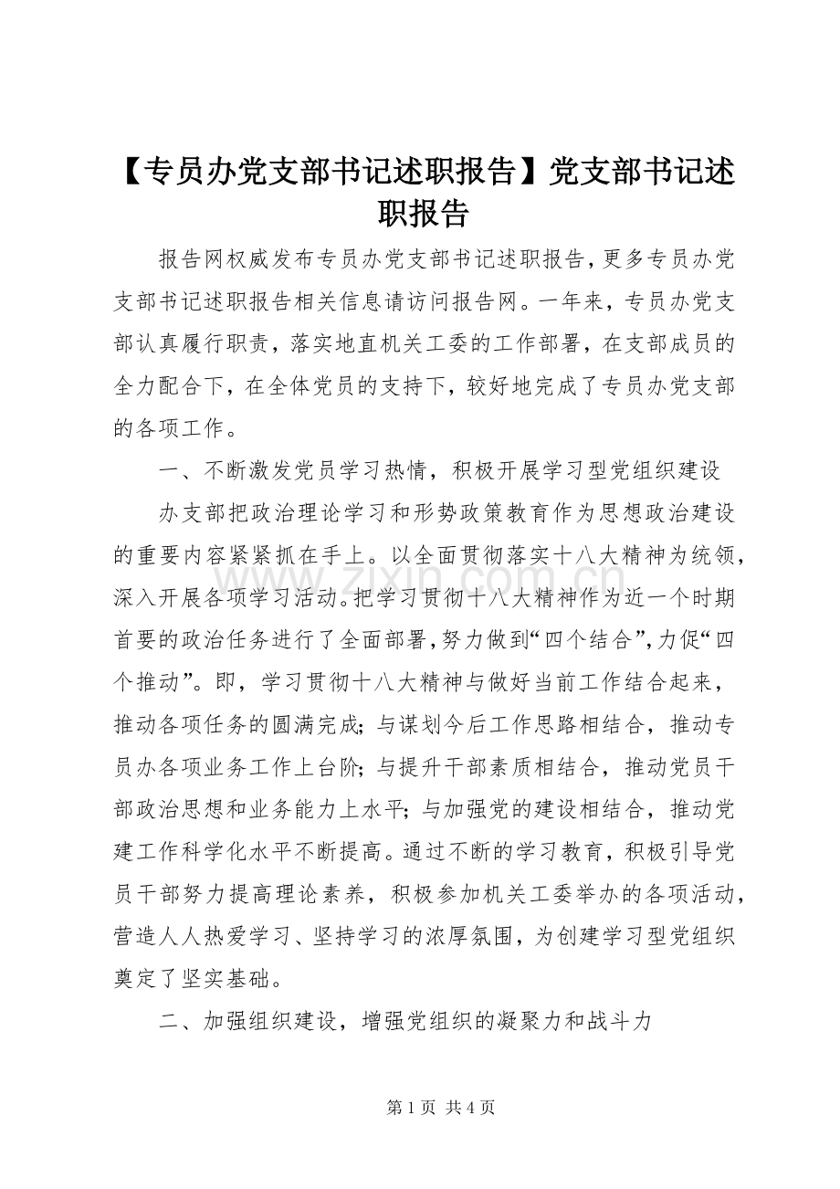 【专员办党支部书记述职报告】党支部书记述职报告.docx_第1页