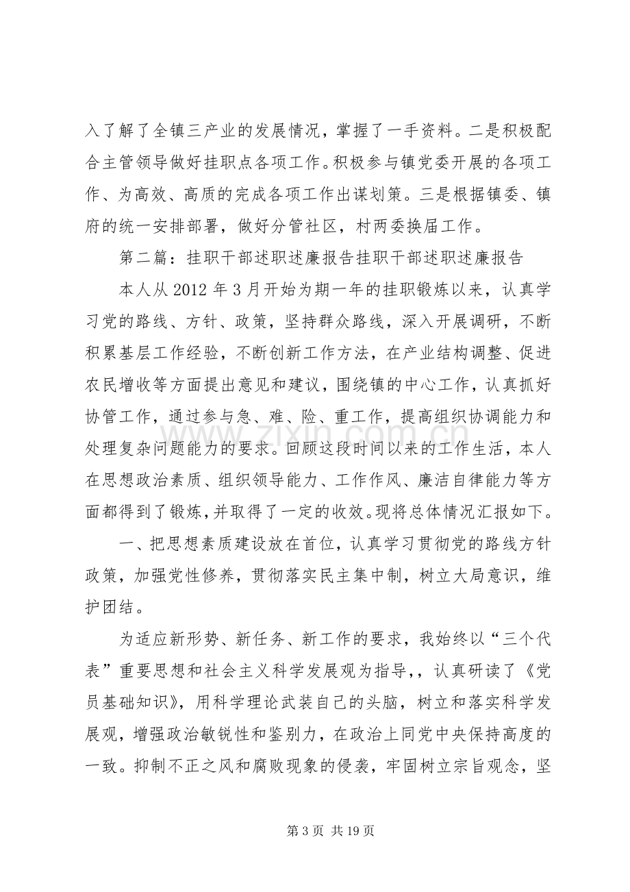 挂职干部述职述廉报告.docx_第3页