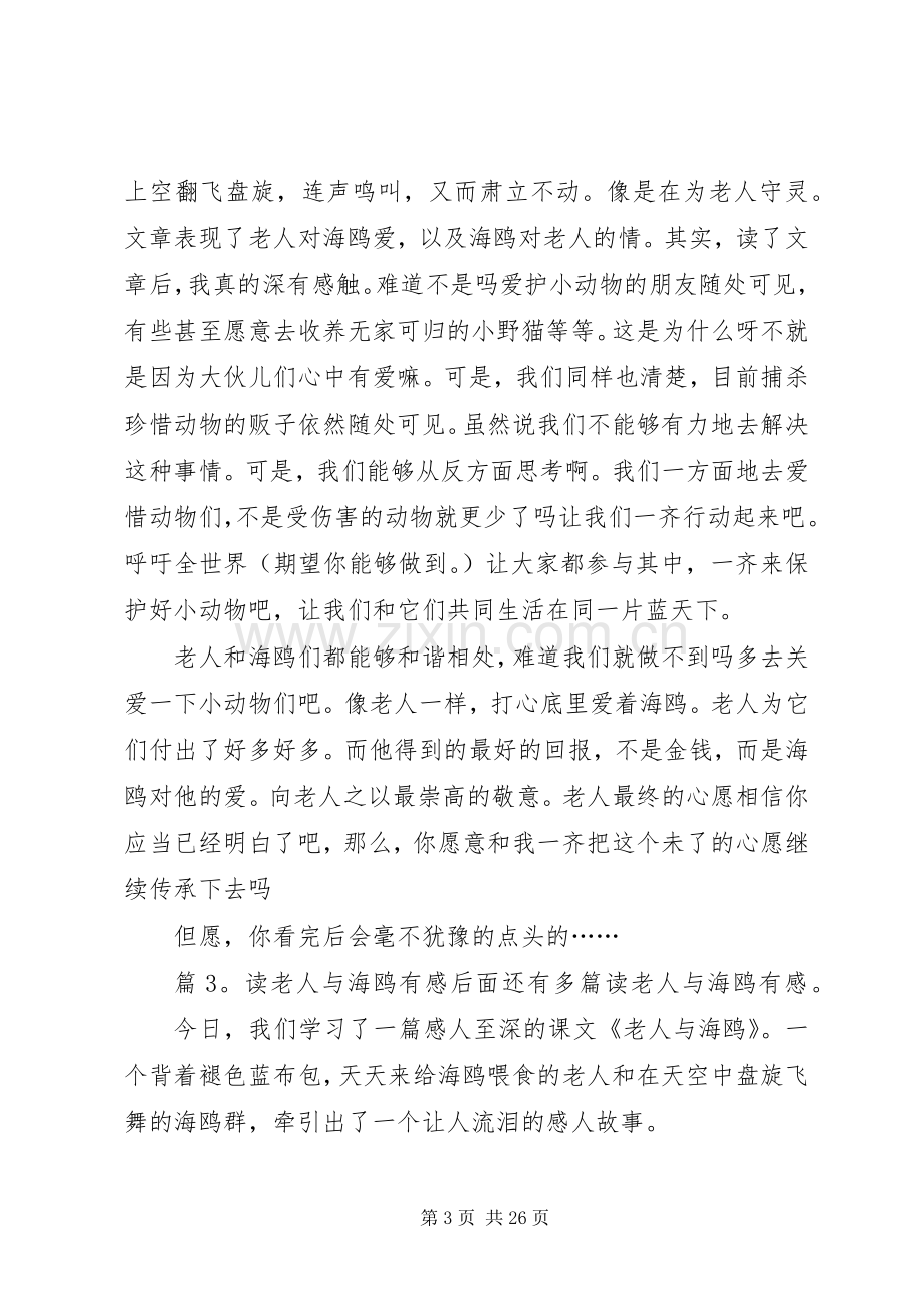 读老人与海鸥有感优选20篇.docx_第3页