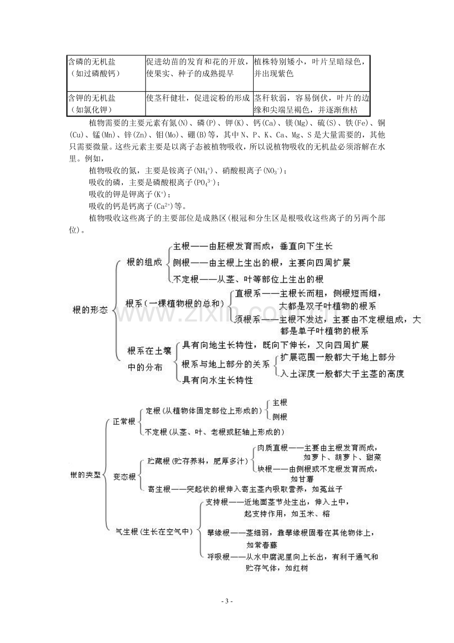 科学-八年级下-第三章-复习提纲.doc_第3页