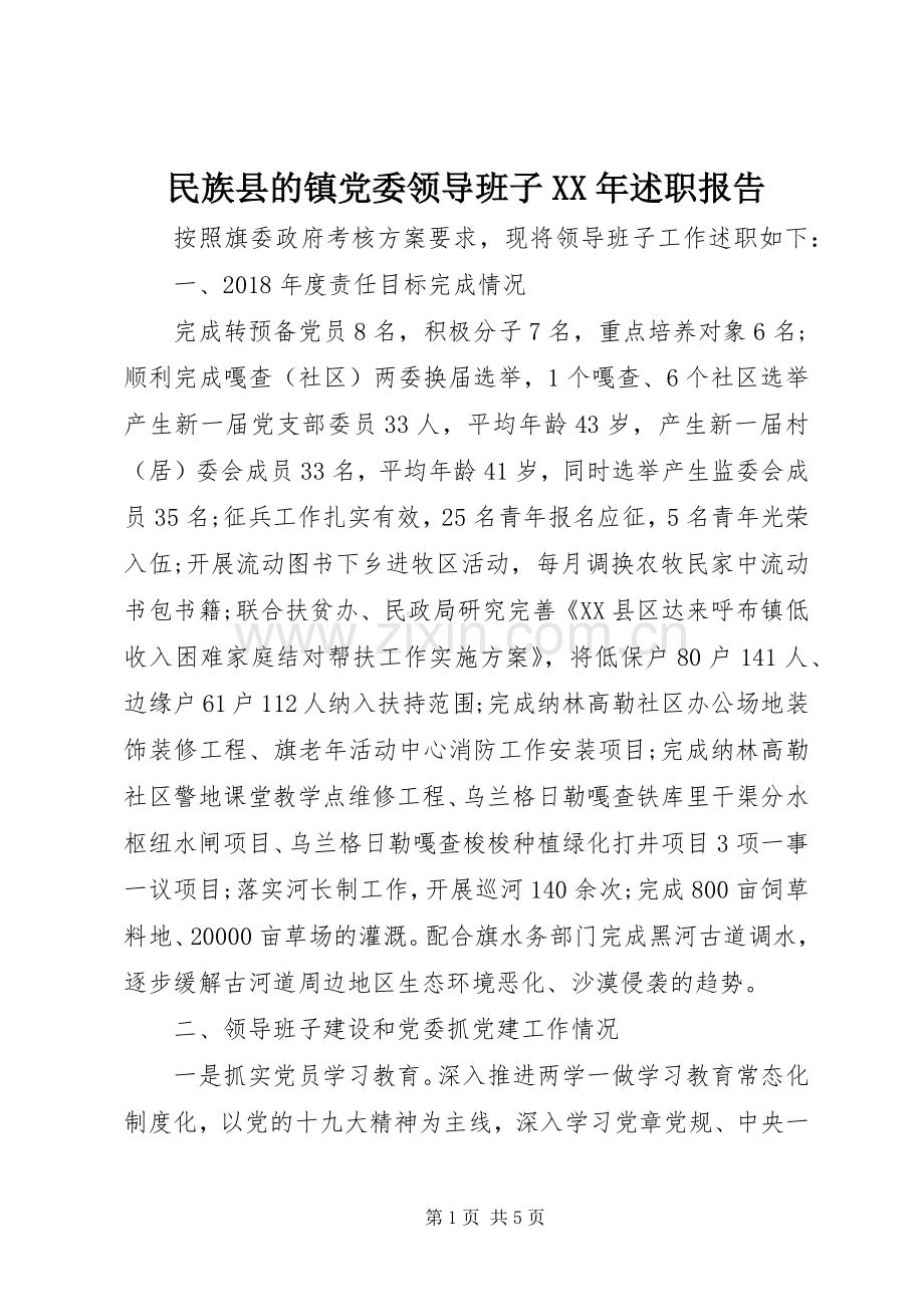 民族县的镇党委领导班子XX年述职报告.docx_第1页