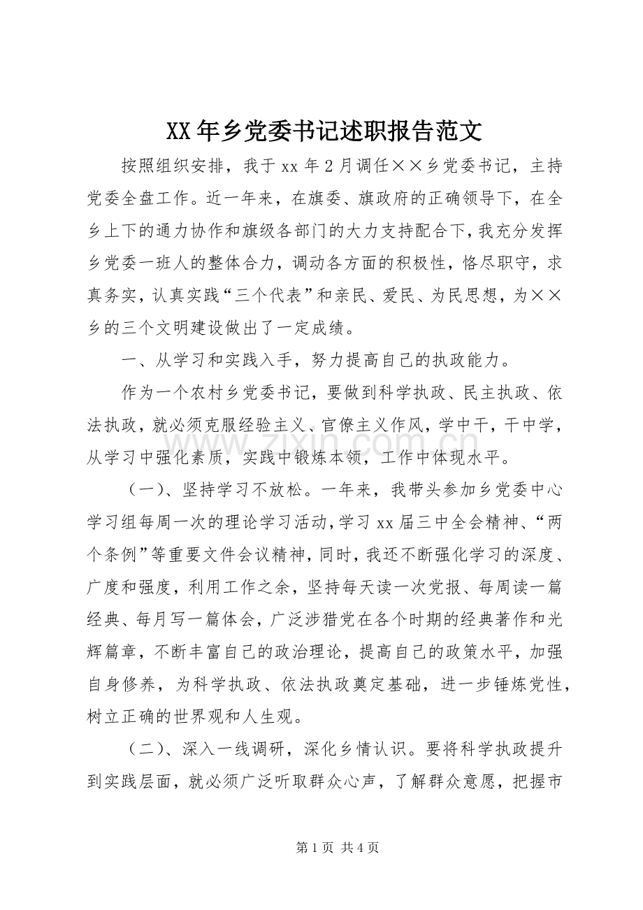 XX年乡党委书记述职报告范文.docx_第1页