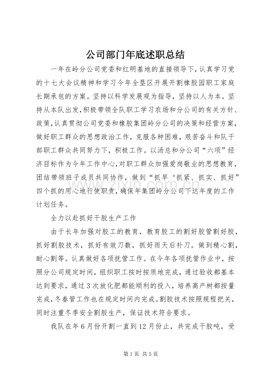 公司部门年底述职总结.docx_第1页