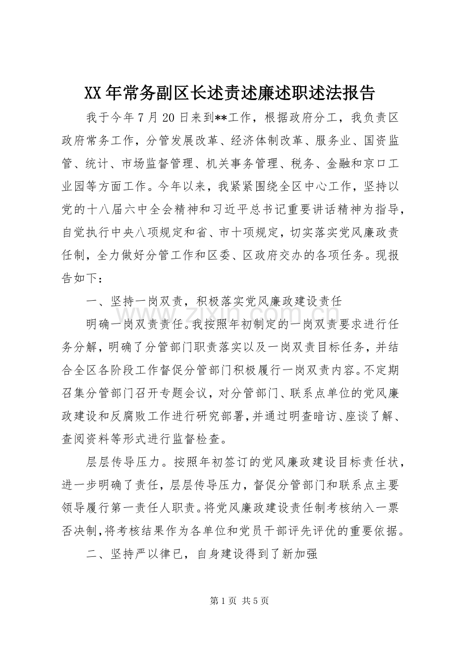 XX年常务副区长述责述廉述职述法报告.docx_第1页