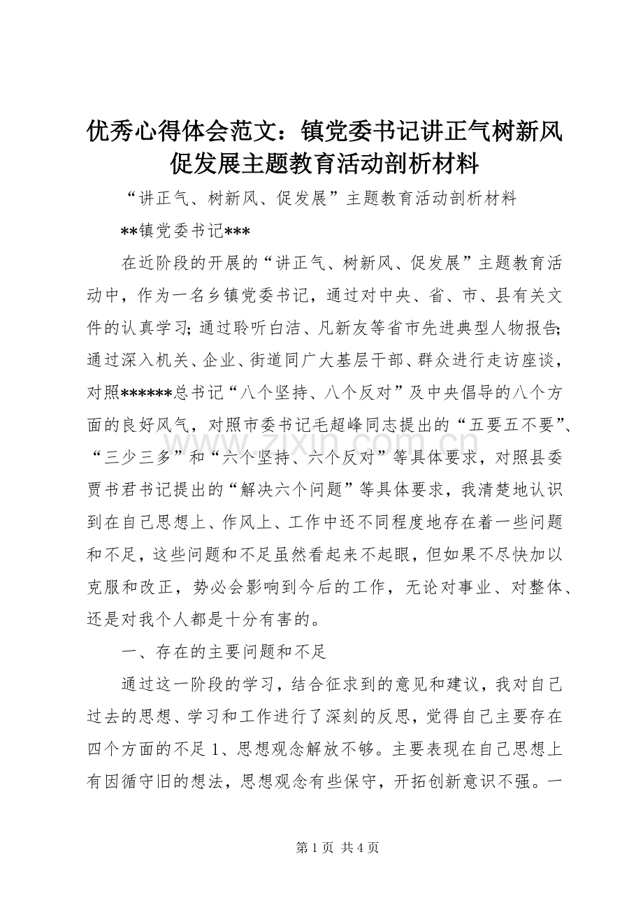 优秀心得体会范文：镇党委书记讲正气树新风促发展主题教育活动剖析材料.docx_第1页