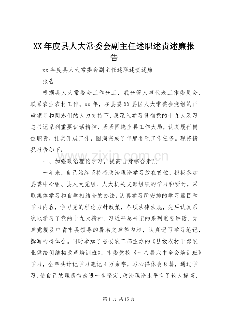 XX年度县人大常委会副主任述职述责述廉报告.docx_第1页