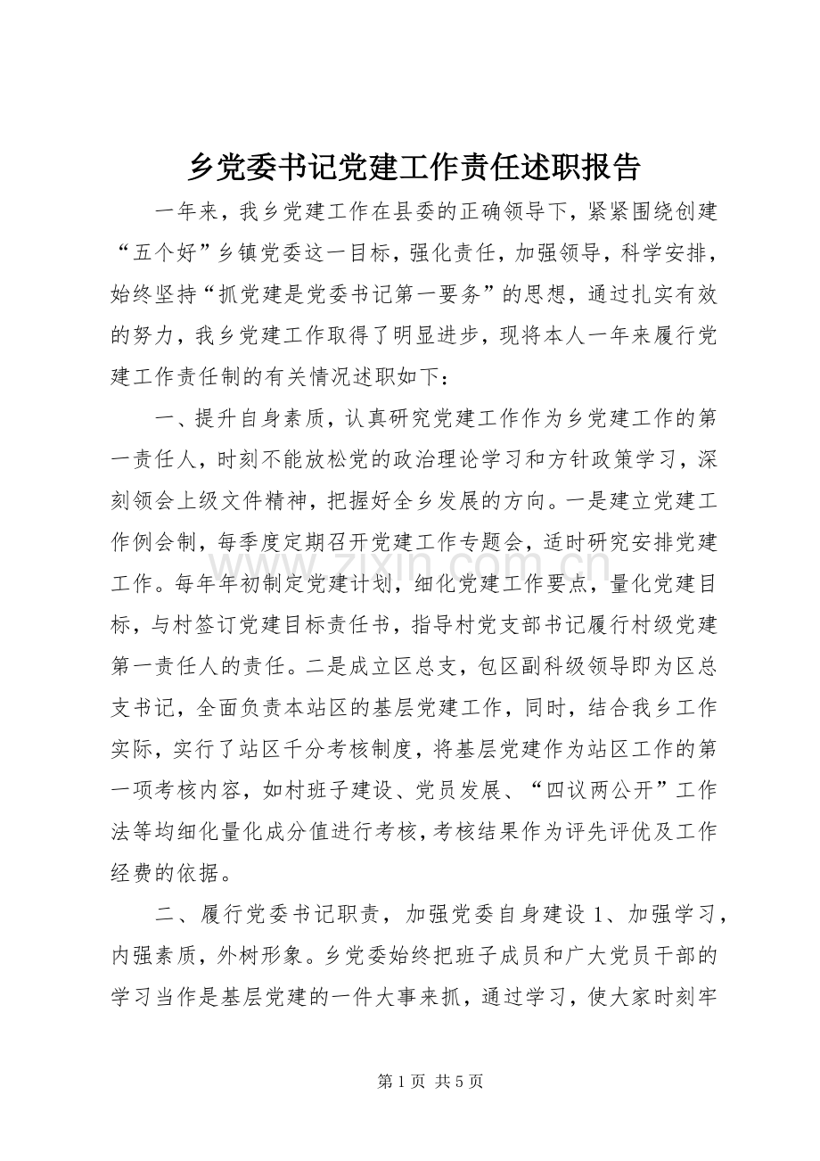 乡党委书记党建工作责任述职报告.docx_第1页