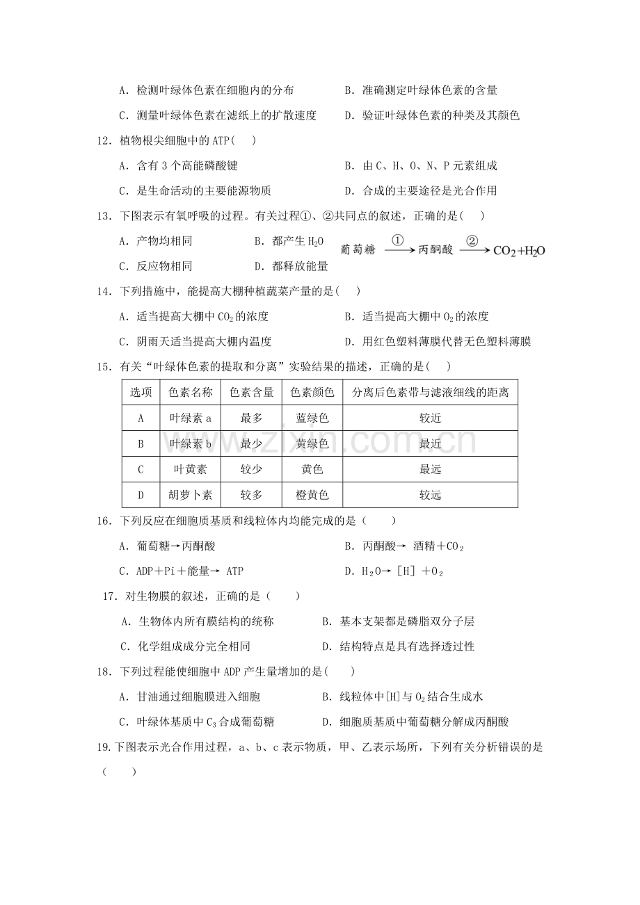 江苏省姜堰二中2018-2019学年高一第二次月考生物试卷.doc_第3页