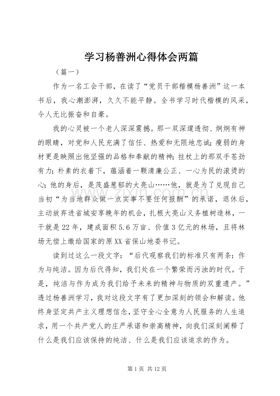 学习杨善洲心得体会两篇.docx_第1页