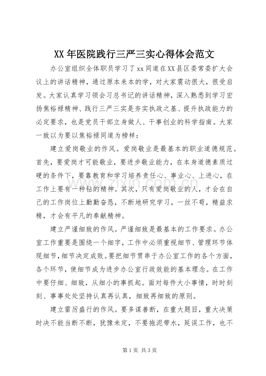 XX年医院践行三严三实心得体会范文.docx_第1页