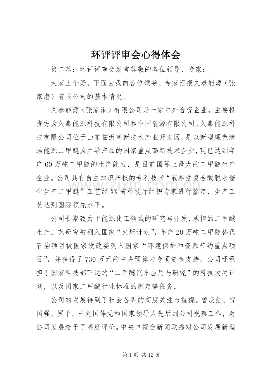 环评评审会心得体会.docx_第1页