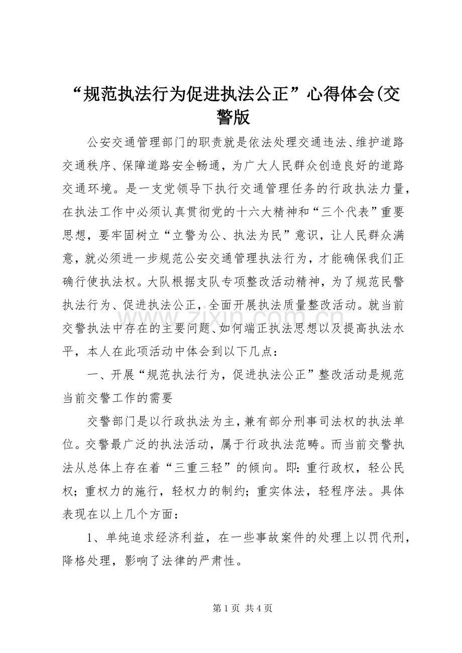 “规范执法行为促进执法公正”心得体会(交警版.docx_第1页