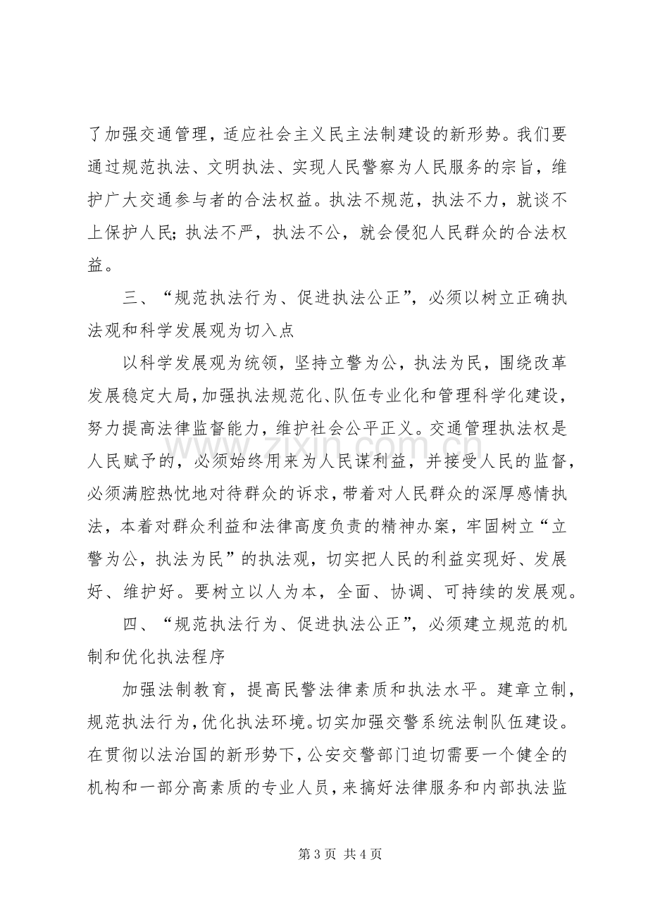 “规范执法行为促进执法公正”心得体会(交警版.docx_第3页