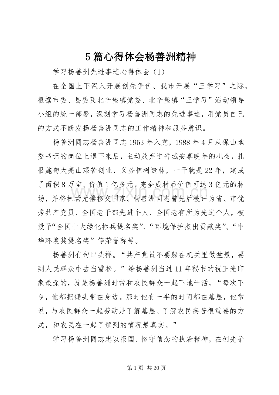 5篇心得体会杨善洲精神.docx_第1页