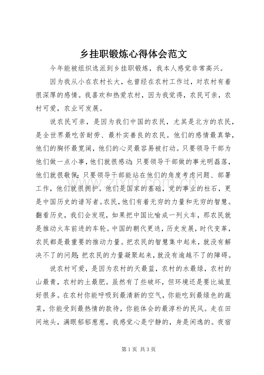 乡挂职锻炼心得体会范文.docx_第1页