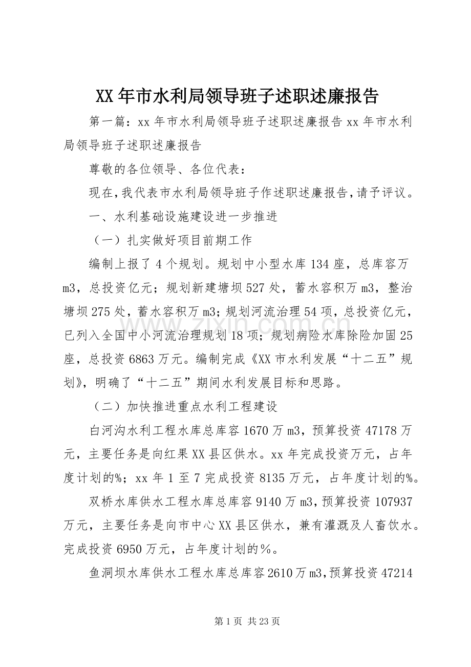 XX年市水利局领导班子述职述廉报告.docx_第1页