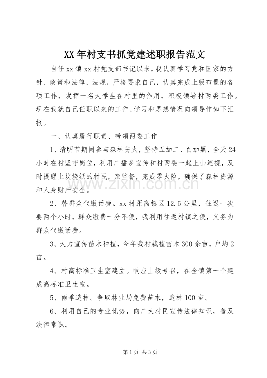 XX年村支书抓党建述职报告范文.docx_第1页