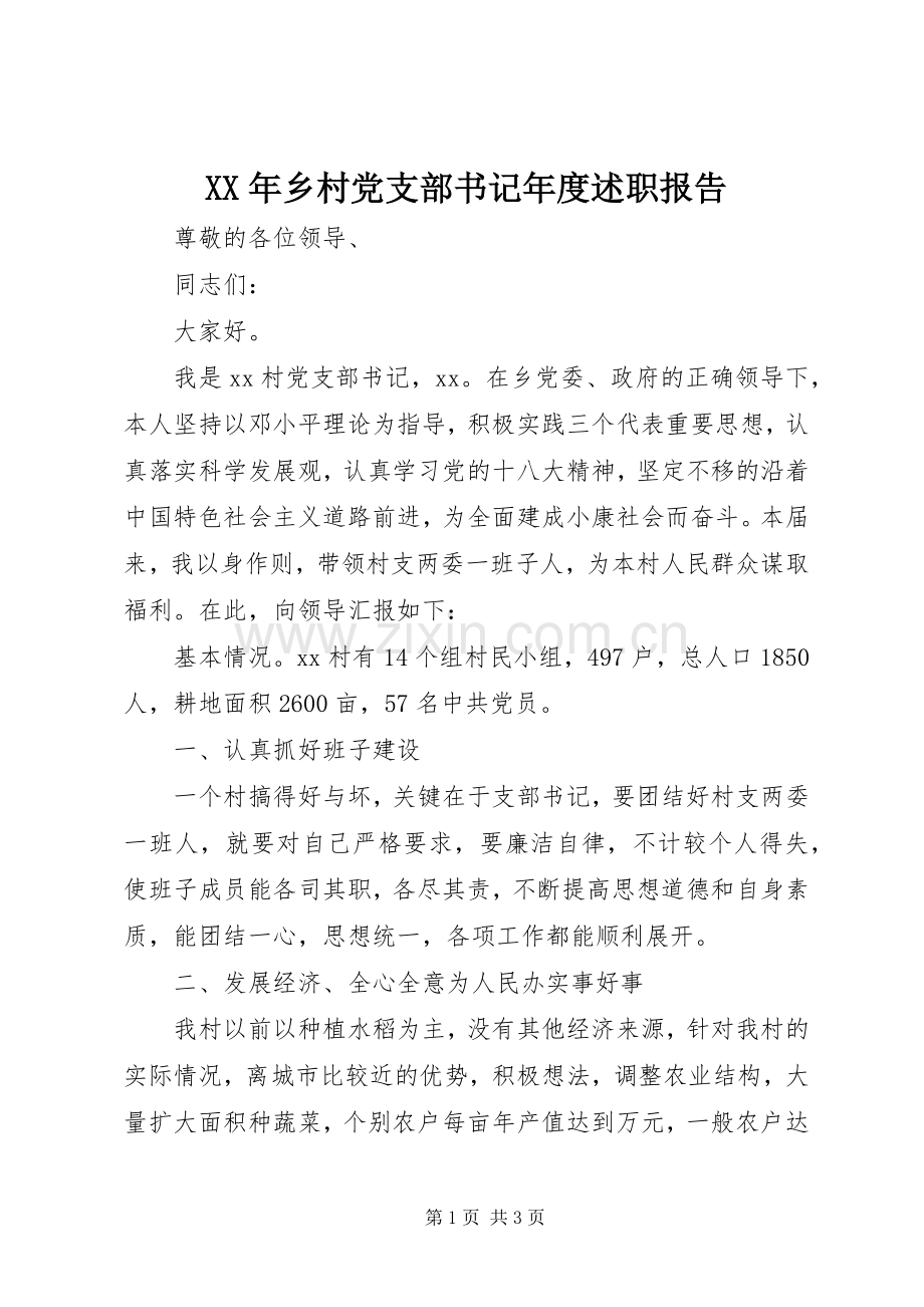 XX年乡村党支部书记年度述职报告.docx_第1页