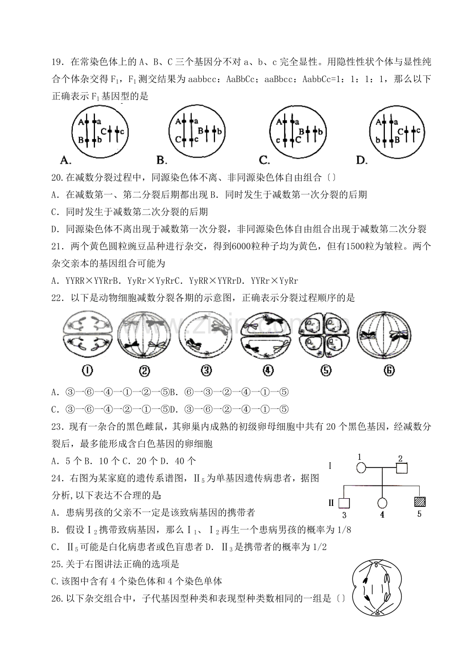 高中生物必修2第1、2章单元测试题.docx_第3页