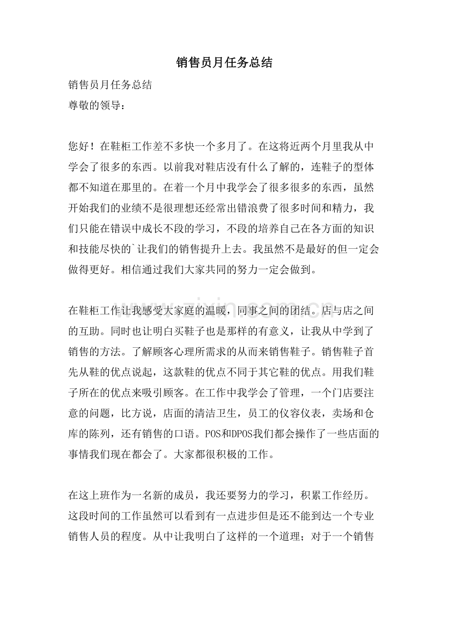 销售员月任务总结.doc_第1页