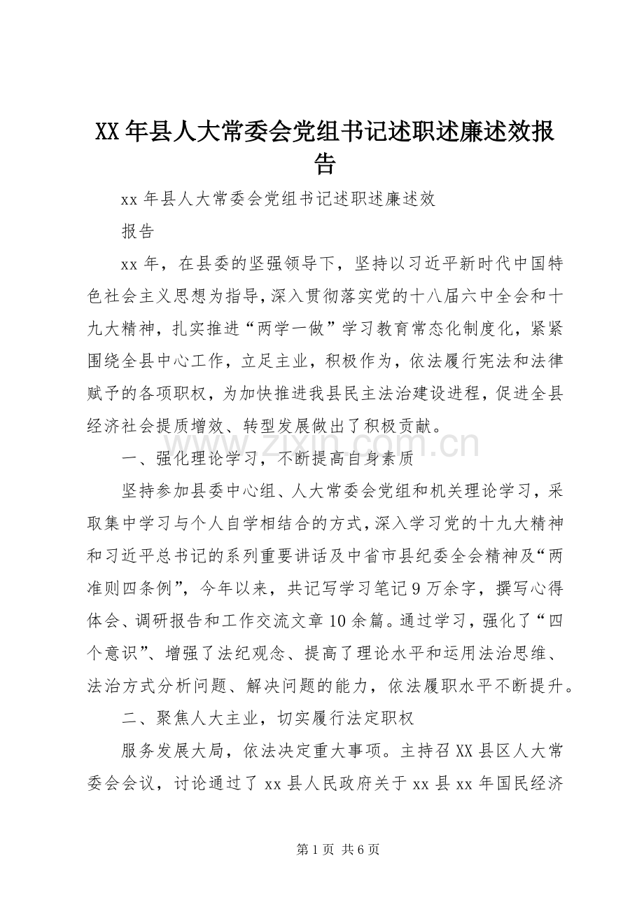 XX年县人大常委会党组书记述职述廉述效报告.docx_第1页