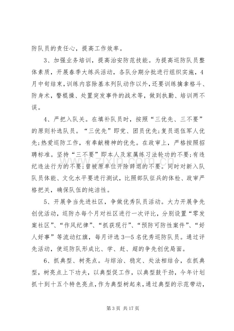 巡警大队述职报告.docx_第3页