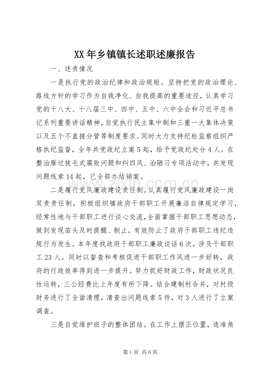 XX年乡镇镇长述职述廉报告.docx_第1页