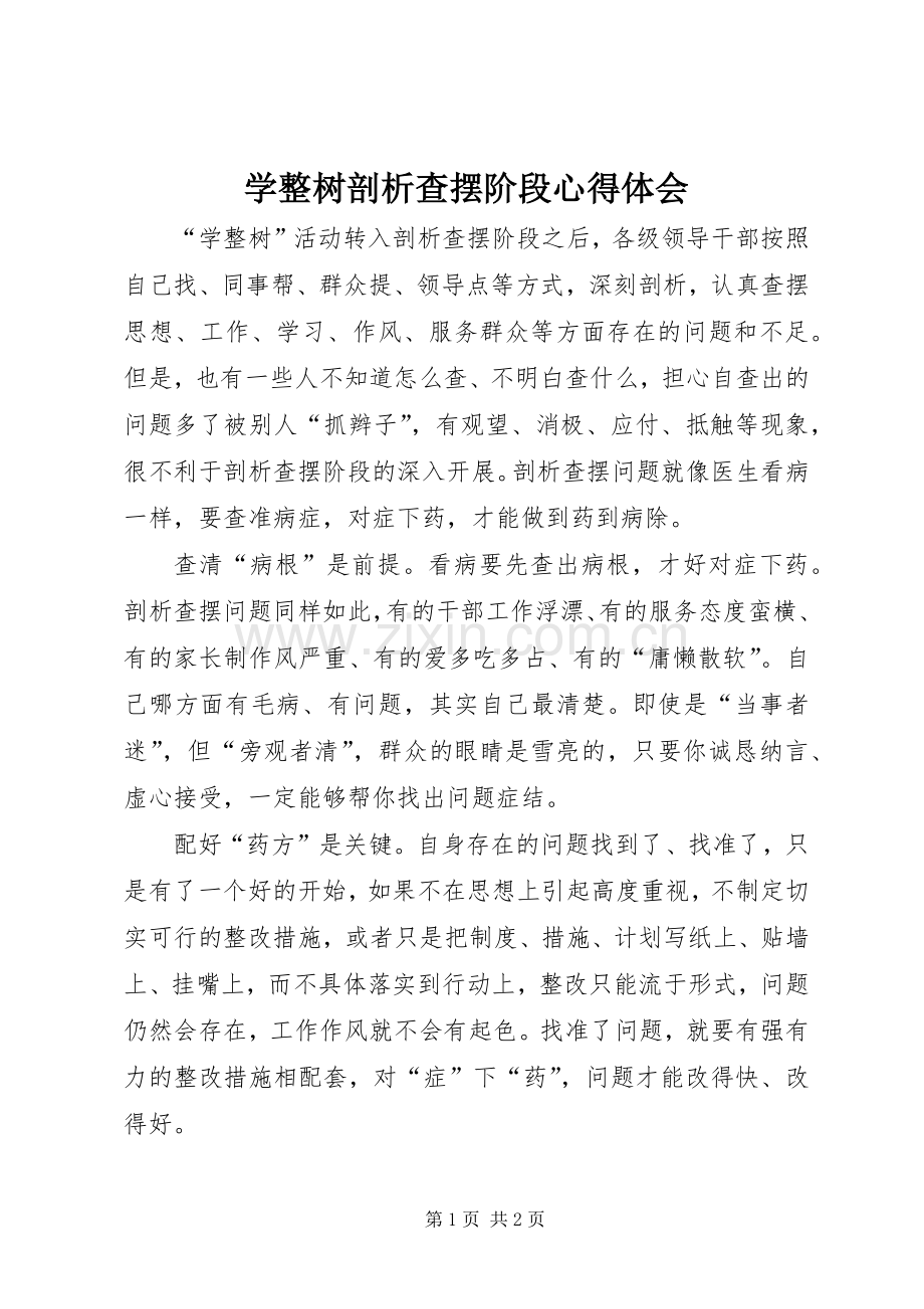 学整树剖析查摆阶段心得体会.docx_第1页