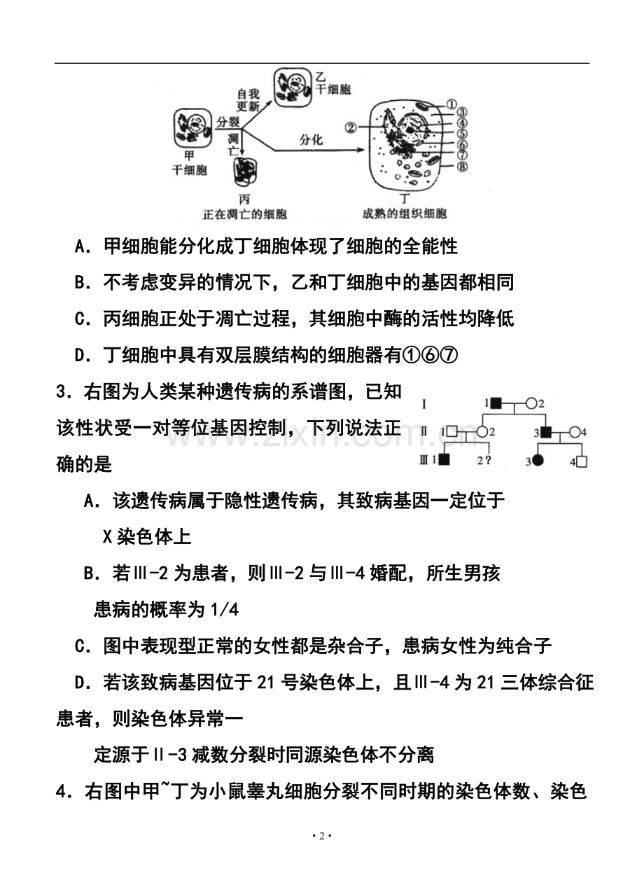 2016届河北省石家庄市高三上学期复习教学质量检测(一)-理科综合试题及答案.doc_第2页