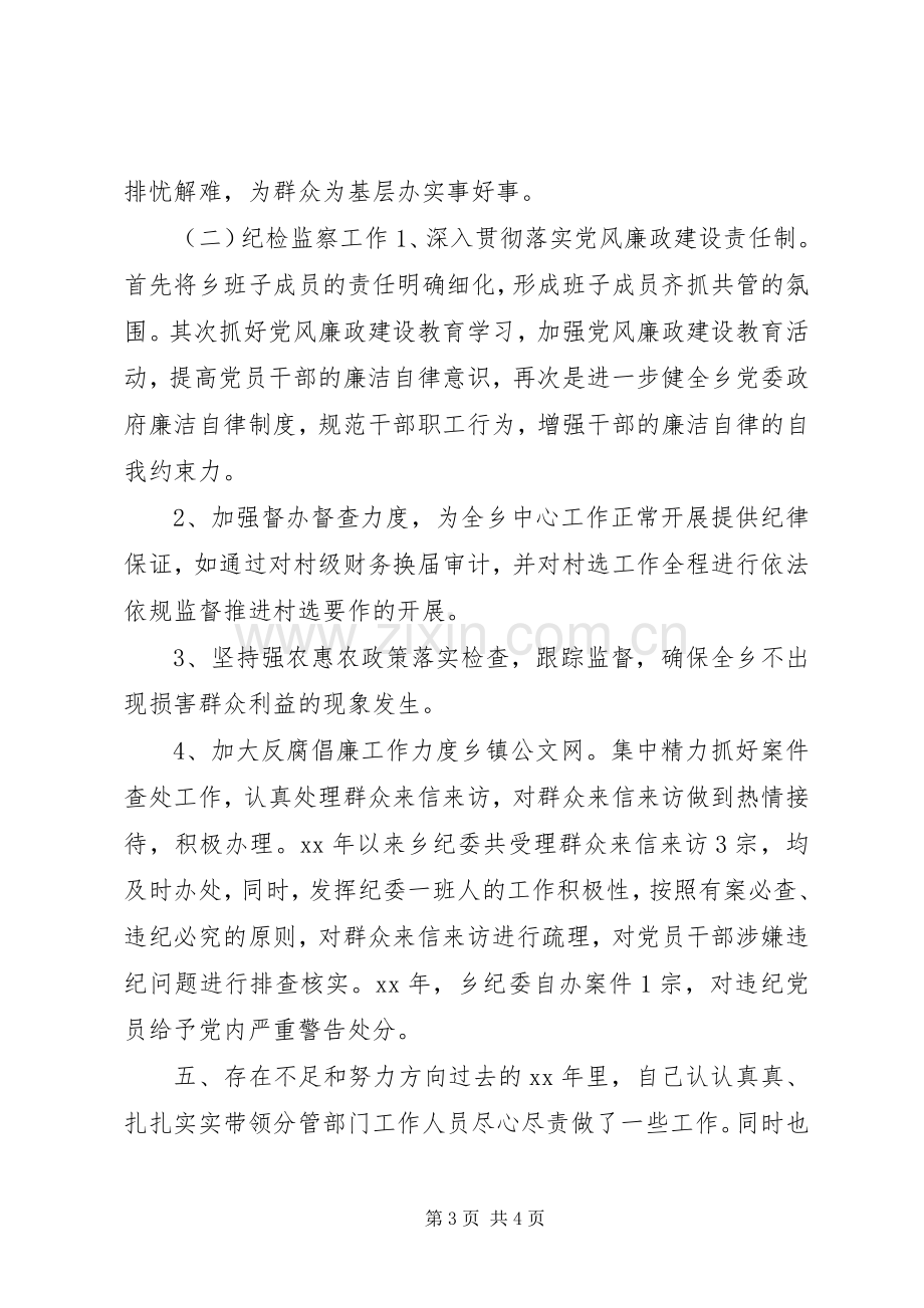 某乡纪检书记个人述职报告.docx_第3页