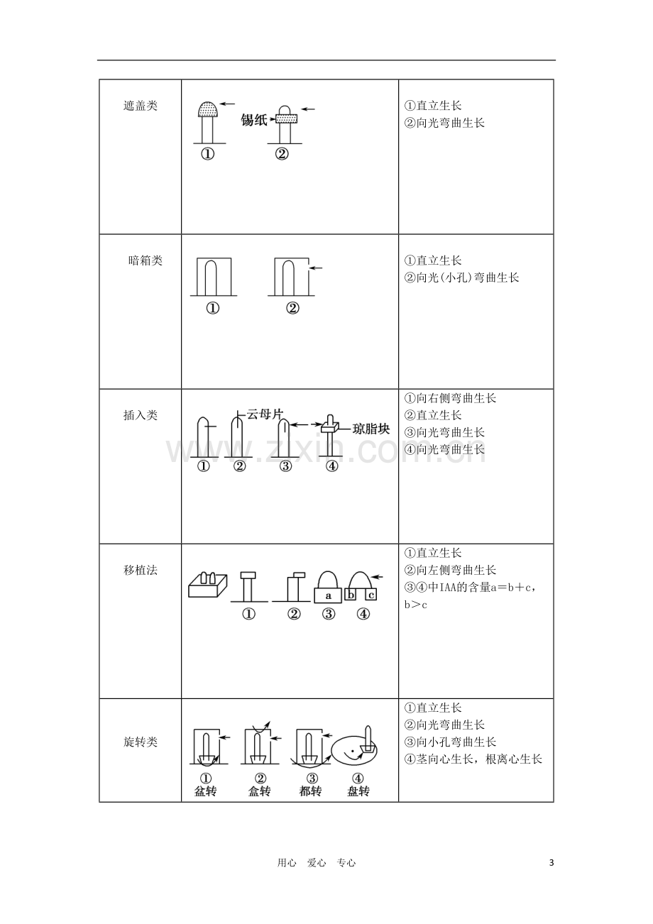 2012高三生物一轮复习-植物生长素的发现导学案-新人教版.doc_第3页