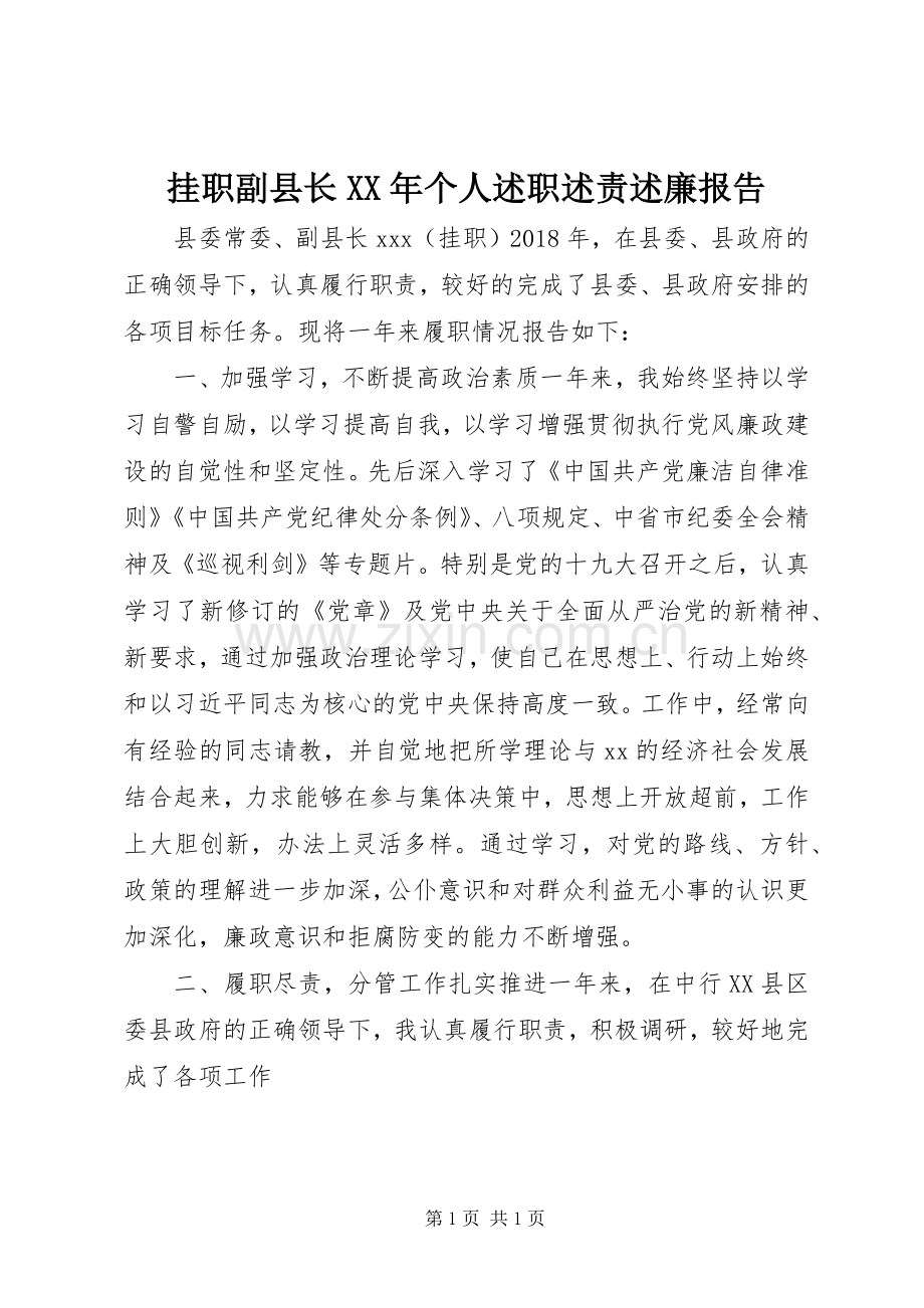 挂职副县长XX年个人述职述责述廉报告.docx_第1页