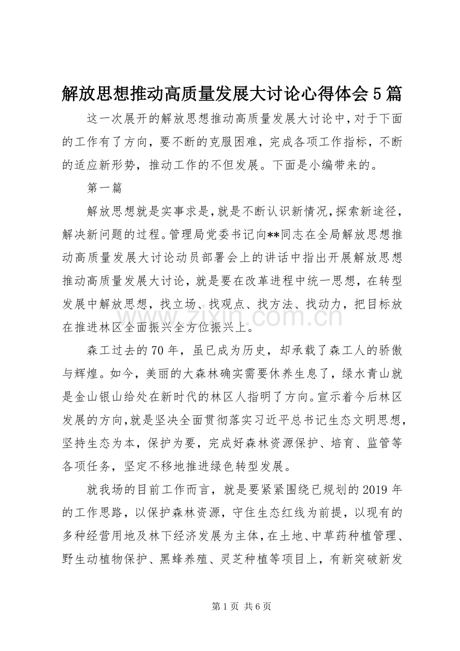 解放思想推动高质量发展大讨论心得体会5篇.docx_第1页