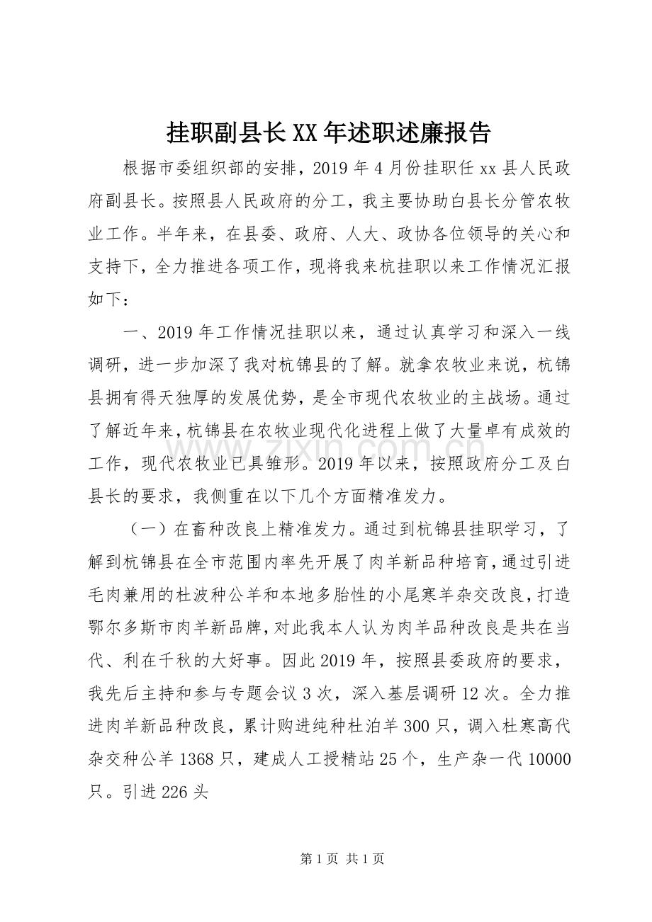 挂职副县长XX年述职述廉报告.docx_第1页