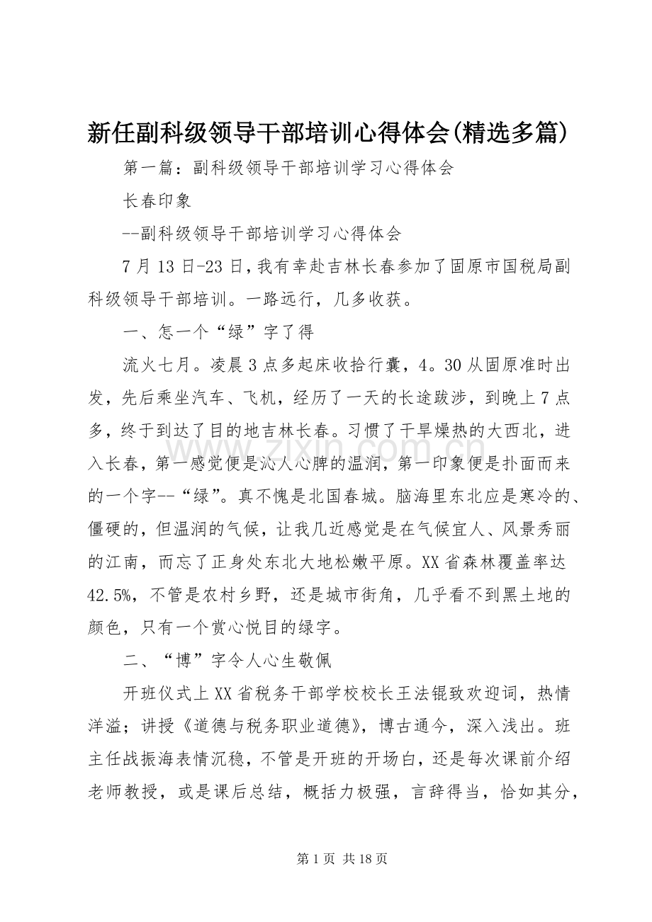 新任副科级领导干部培训心得体会(多篇).docx_第1页