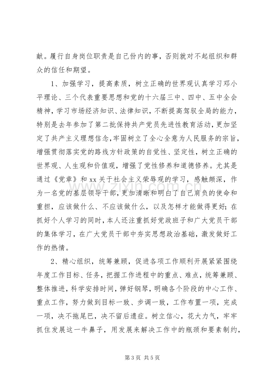 镇党委书记兼人大主席个人述职述廉报告.docx_第3页