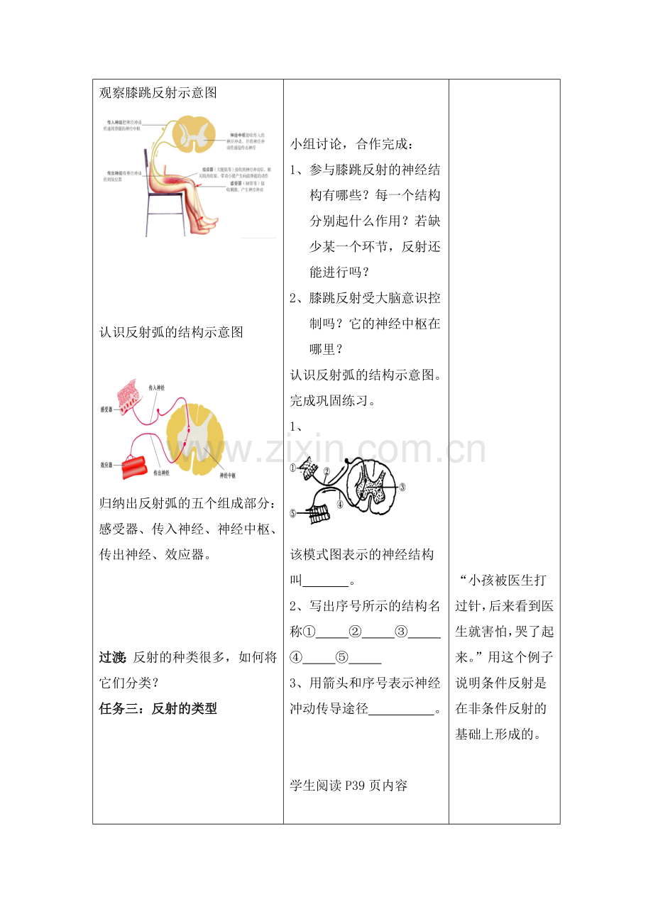 第节人体的神经调节.doc_第3页