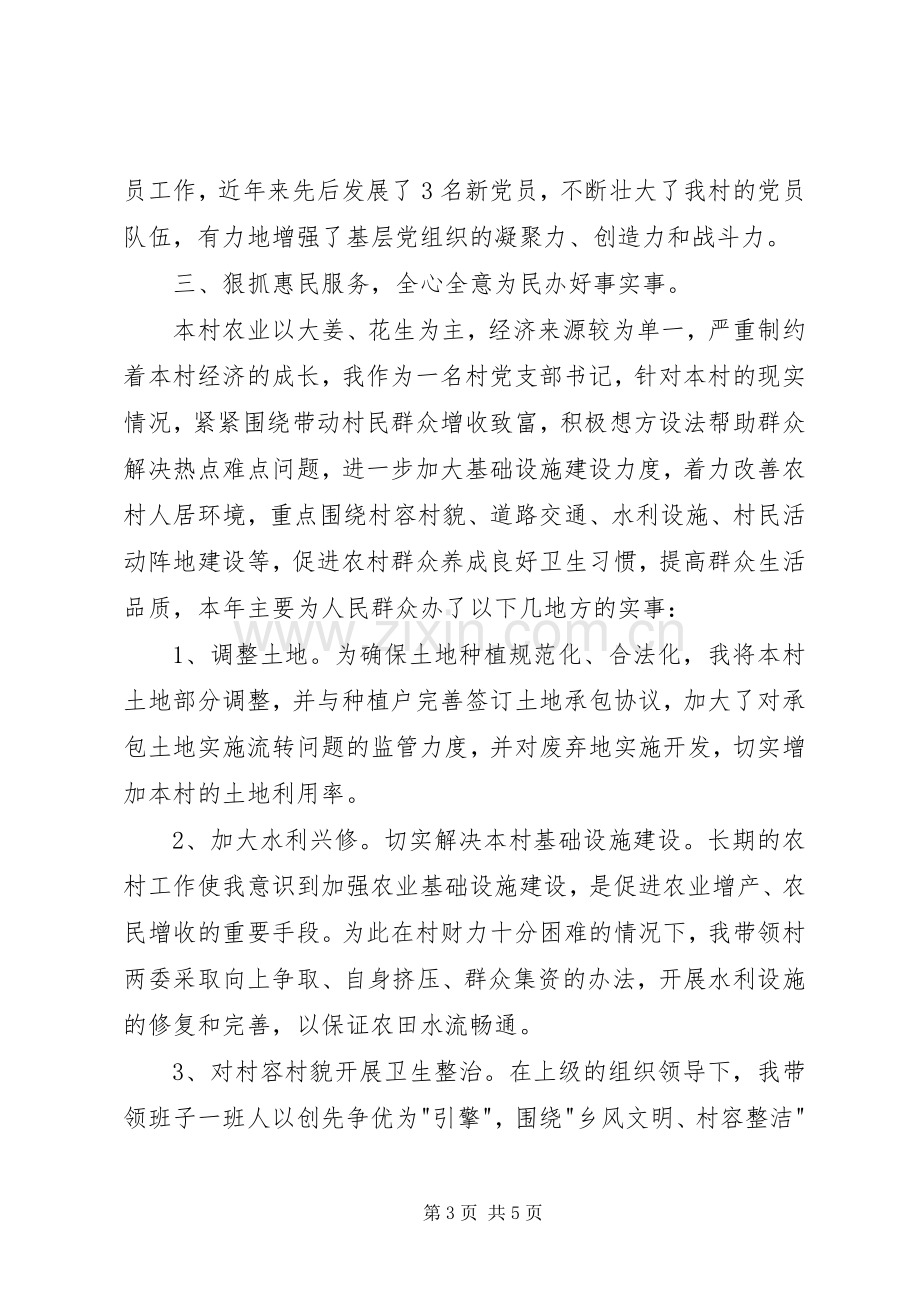 村书记个人年终述职报告.docx_第3页