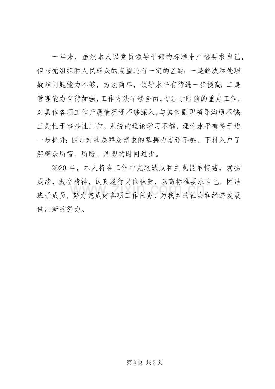 XX年度乡镇镇长个人述职述廉报告.docx_第3页