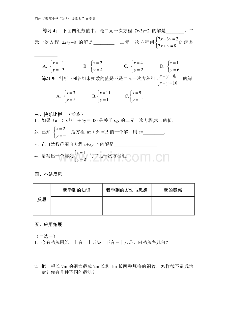 《二元一次方程组》导学案.doc_第3页