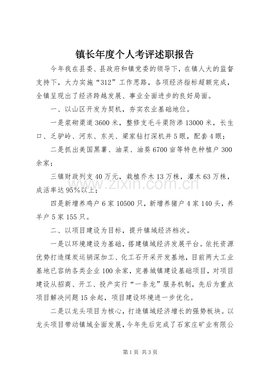 镇长年度个人考评述职报告.docx_第1页