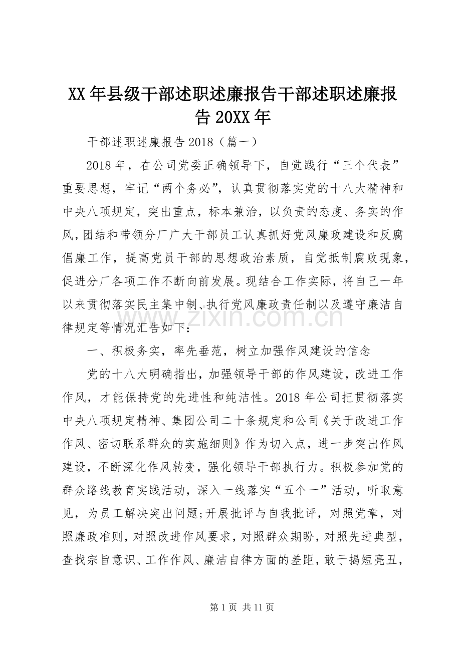 XX年县级干部述职述廉报告干部述职述廉报告20XX年.docx_第1页