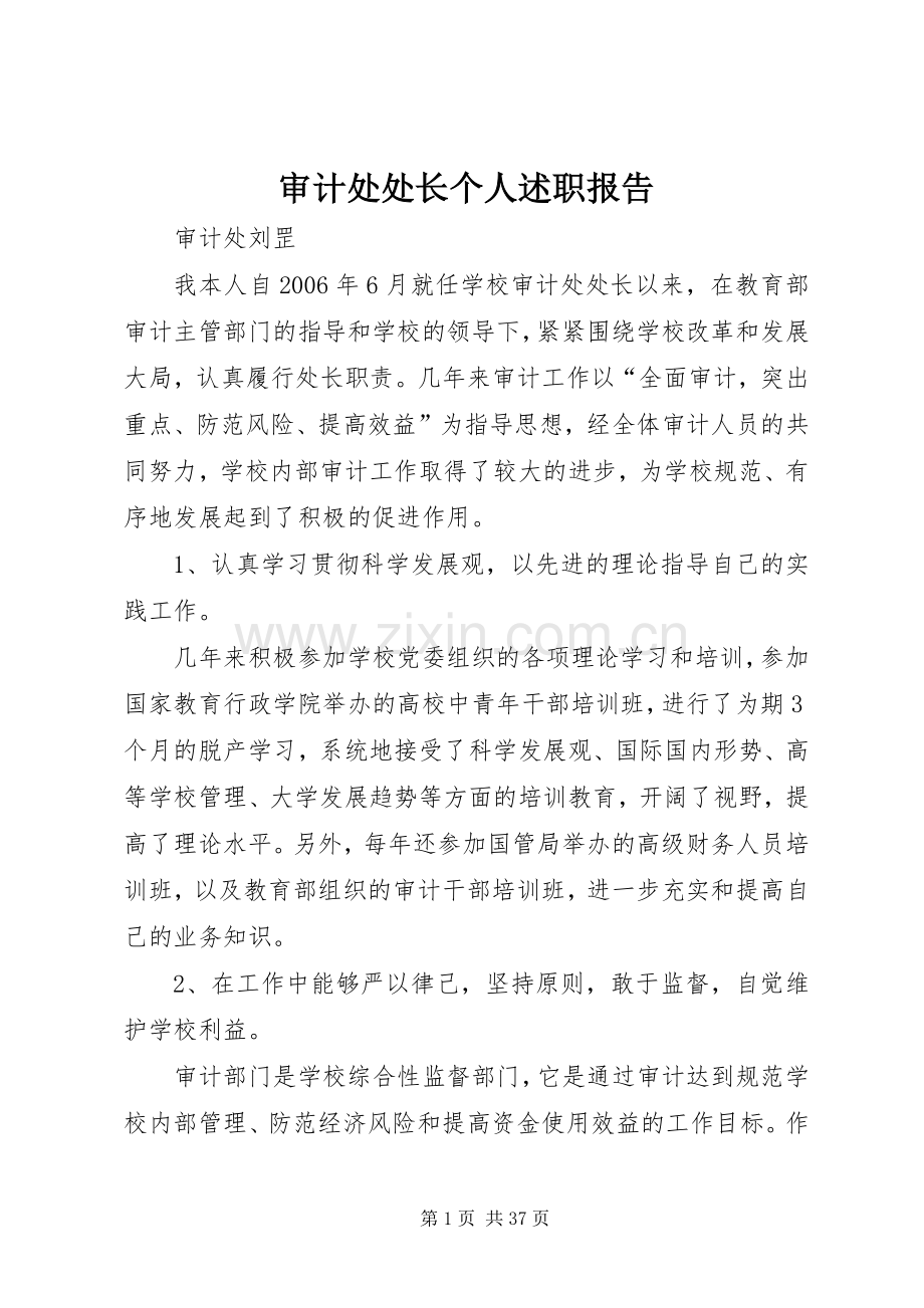 审计处处长个人述职报告.docx_第1页