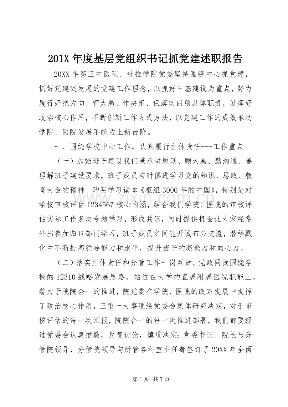 201X年度基层党组织书记抓党建述职报告.docx_第1页