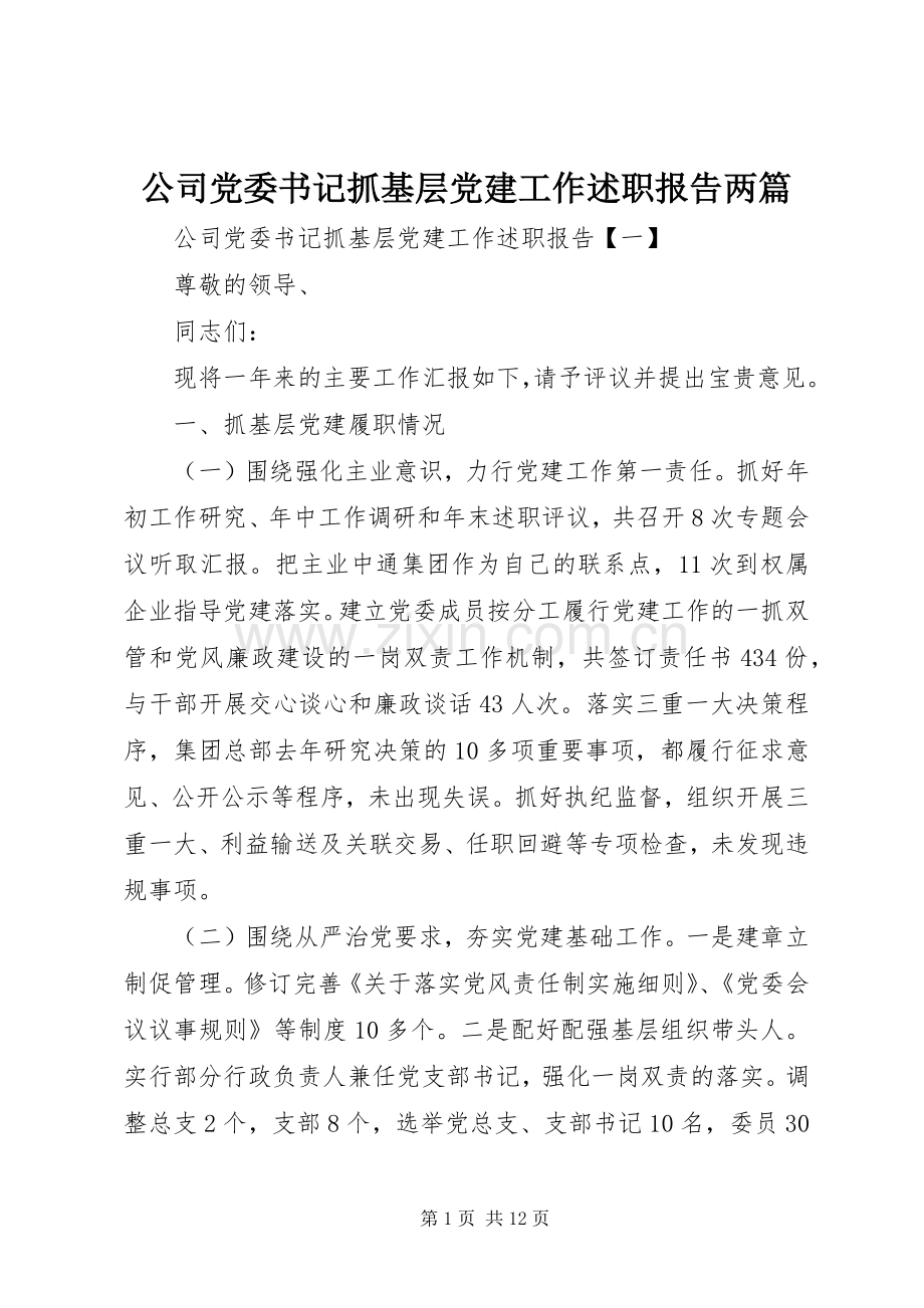 公司党委书记抓基层党建工作述职报告两篇.docx_第1页