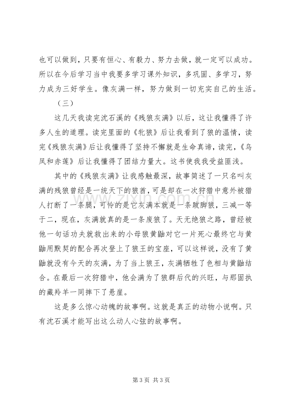 残狼灰满读后感.docx_第3页